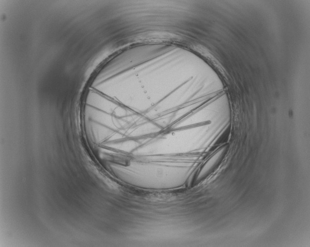 X0000075841083200610151539