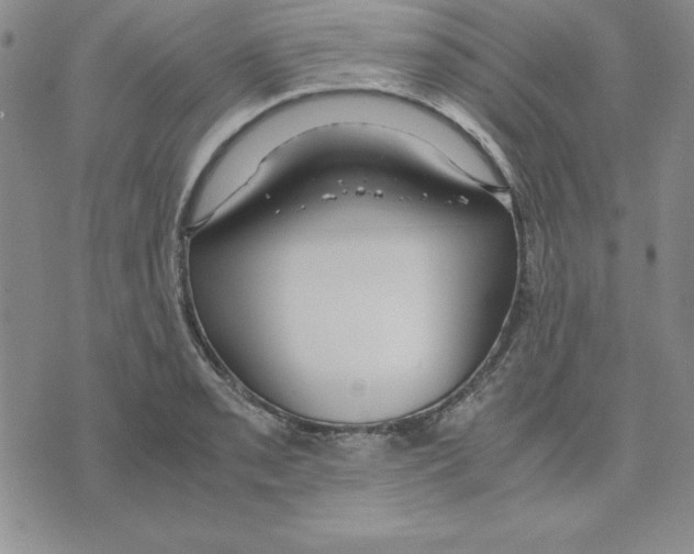 X0000075841085200610151539