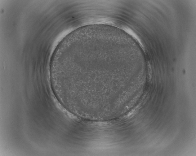 X0000075841088200610151539