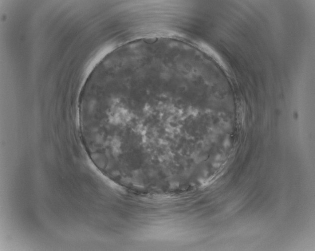 X0000075841095200610151539