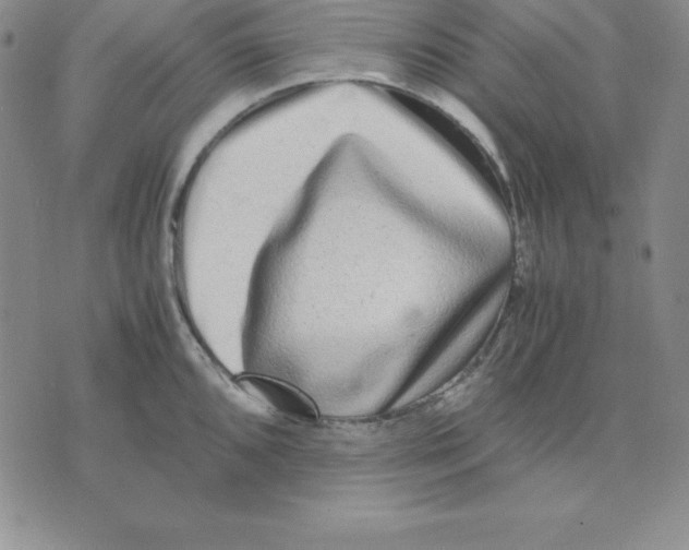 X0000075841096200610151539