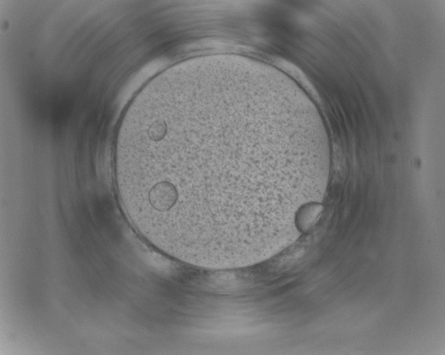 X0000075841098200610151539