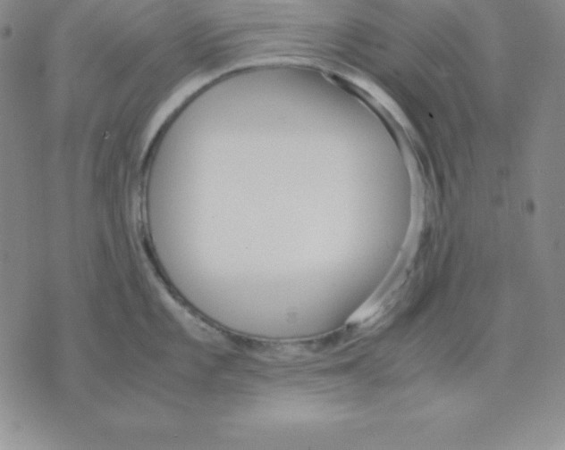 X0000075841101200610151539