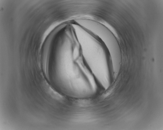 X0000075841102200610151539