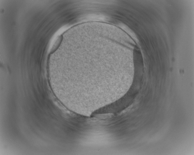 X0000075841104200610151539