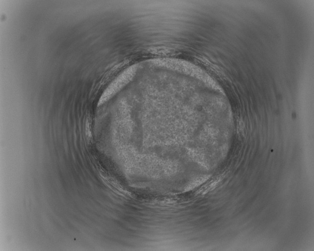 X0000075841106200610151538