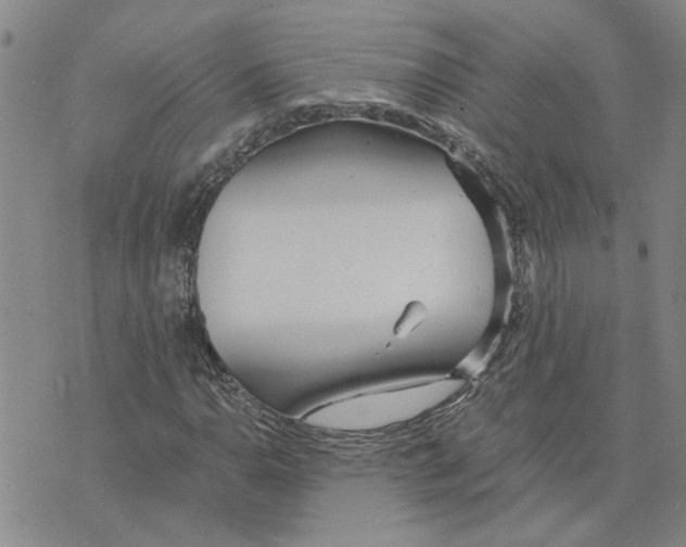 X0000075841110200610151538