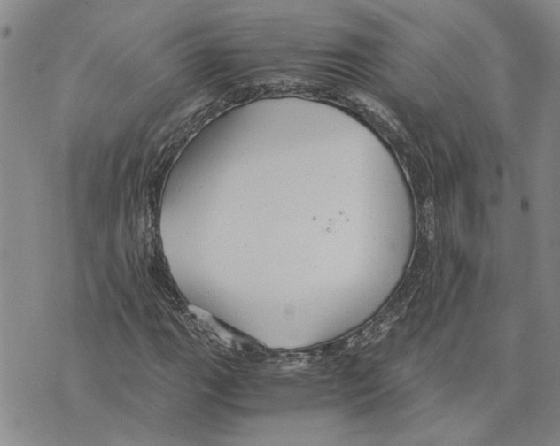 X0000075841111200610151538