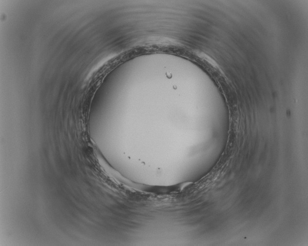 X0000075841112200610151538