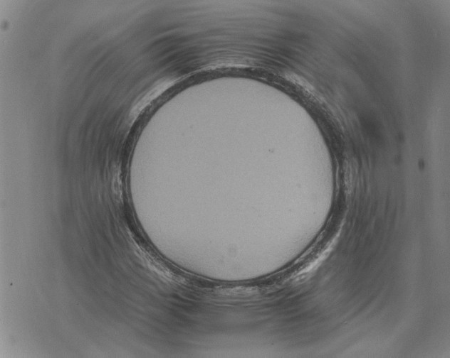 X0000075841113200610151538