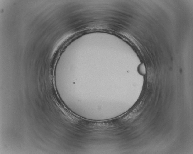 X0000075841115200610151538