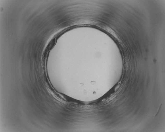 X0000075841116200610151538