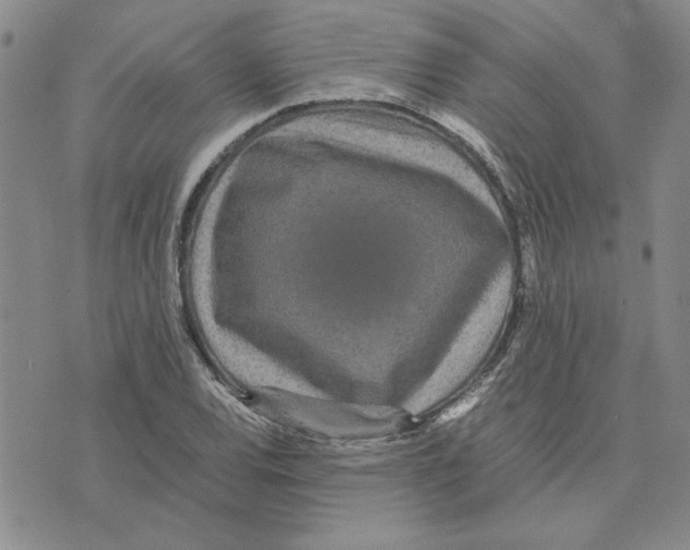 X0000075841120200610151538