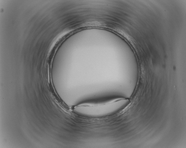 X0000075841123200610151538