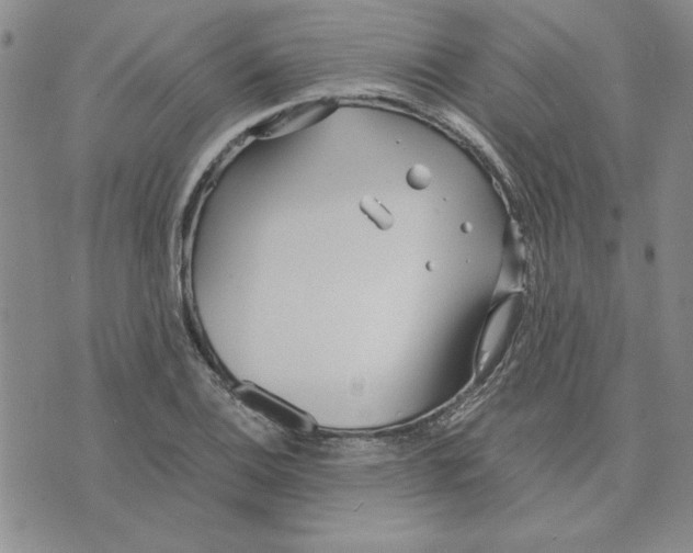 X0000075841124200610151538