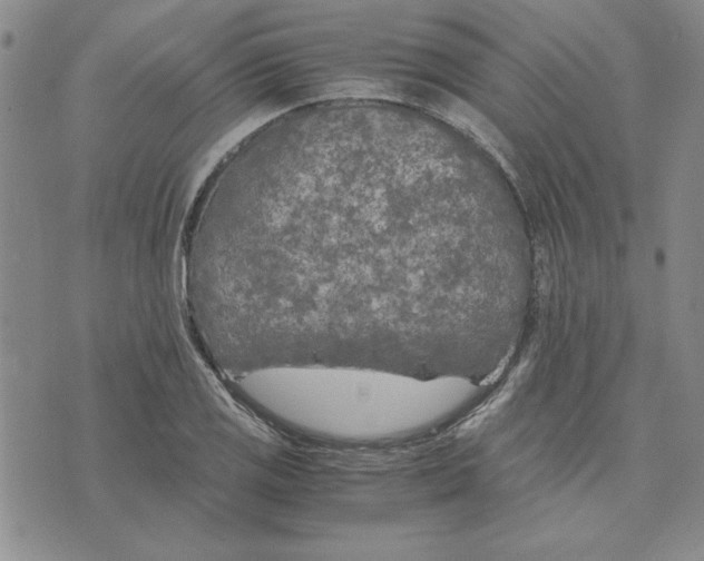 X0000075841125200610151538