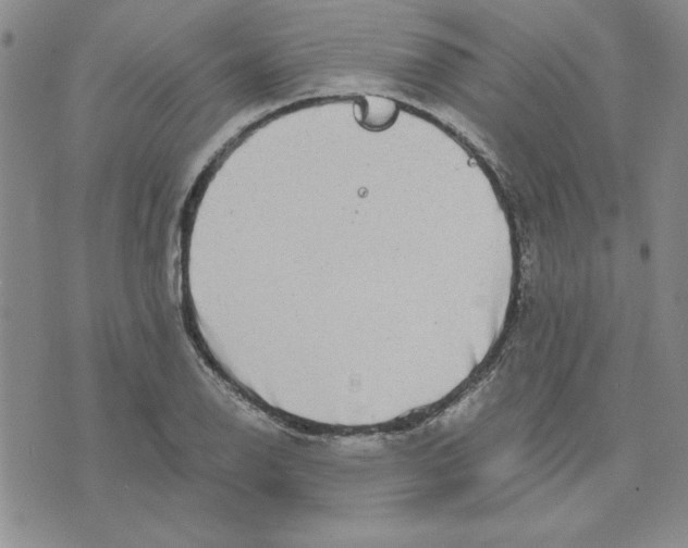 X0000075841126200610151538