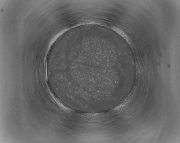 X0000075841127200610151538