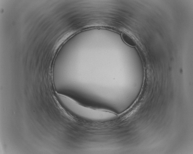 X0000075841129200610151538