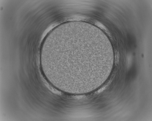 X0000075841130200610151538