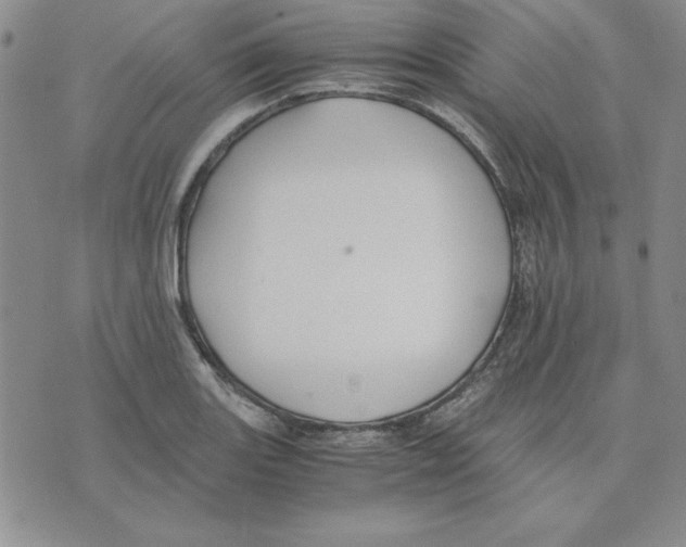 X0000075841131200610151538