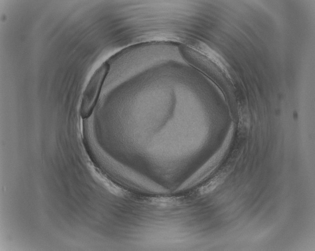 X0000075841132200610151538