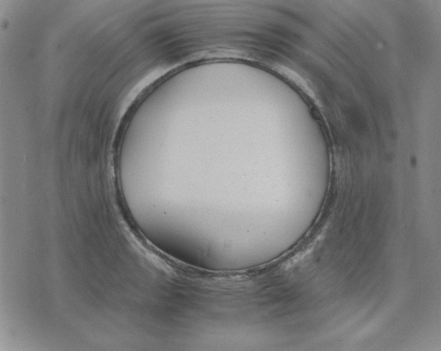 X0000075841133200610151538