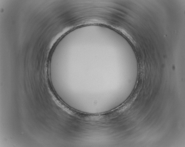 X0000075841134200610151538