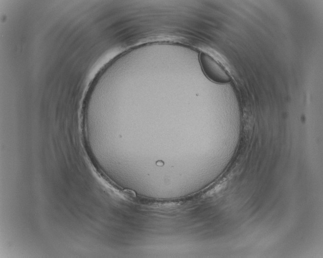 X0000075841135200610151538