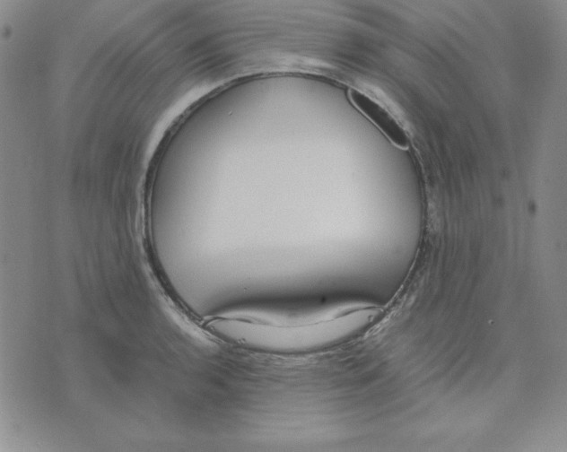 X0000075841136200610151538