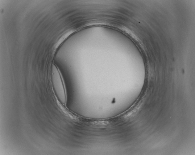 X0000075841137200610151538