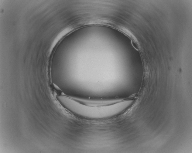 X0000075841138200610151538