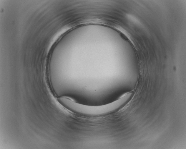 X0000075841139200610151538