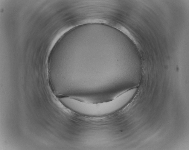 X0000075841140200610151538