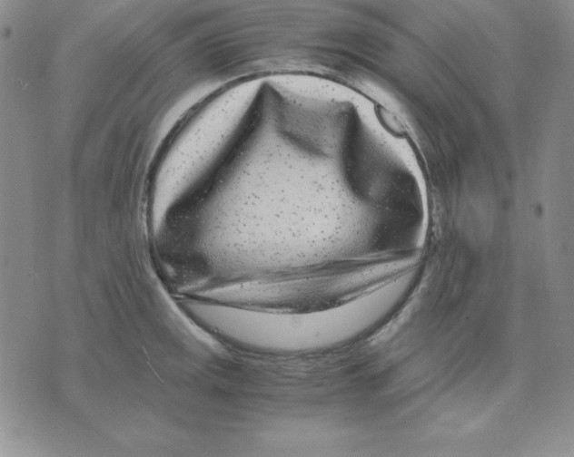 X0000075841141200610151538