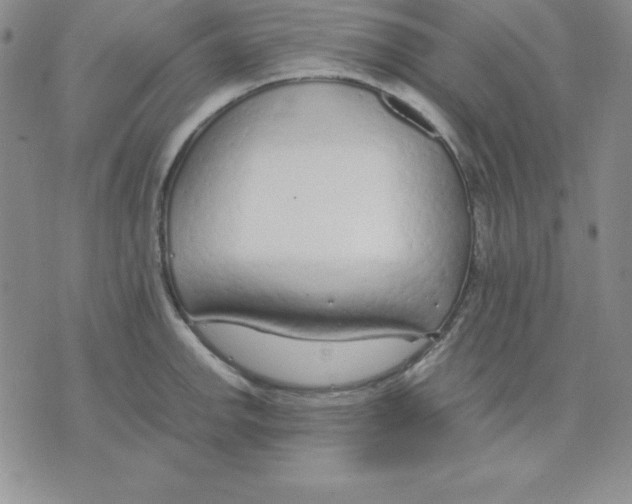 X0000075841142200610151538