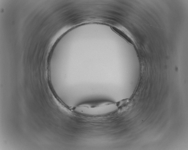 X0000075841143200610151538