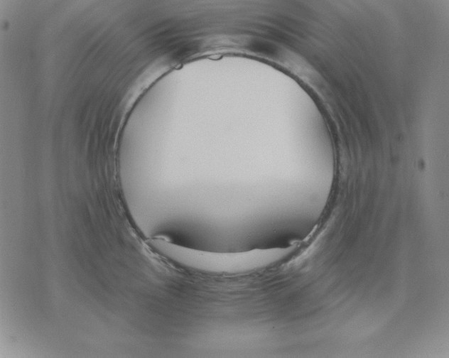 X0000075841145200610151538