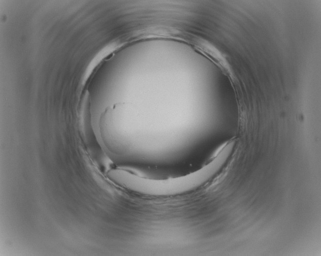 X0000075841146200610151538