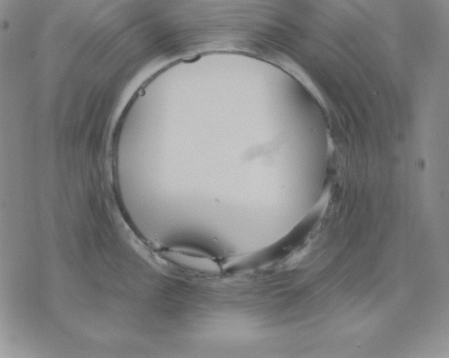 X0000075841148200610151538