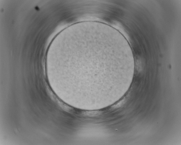 X0000075841150200610151538