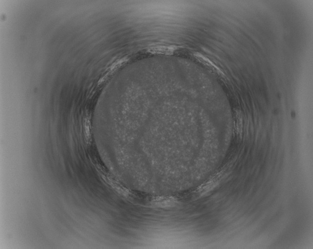 X0000075841154200610151538