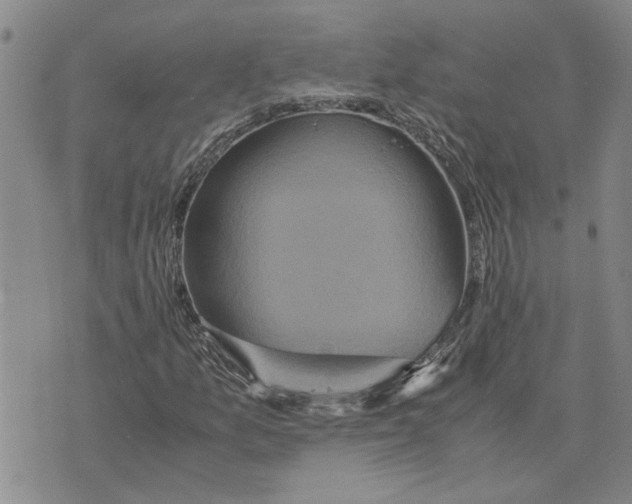 X0000075841157200610151538