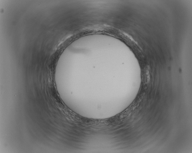 X0000075841158200610151538