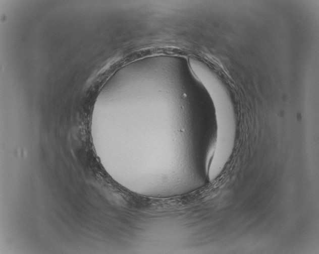 X0000075841159200610151538