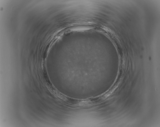 X0000075841161200610151538