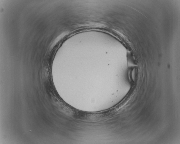 X0000075841163200610151538