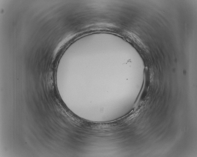 X0000075841164200610151538