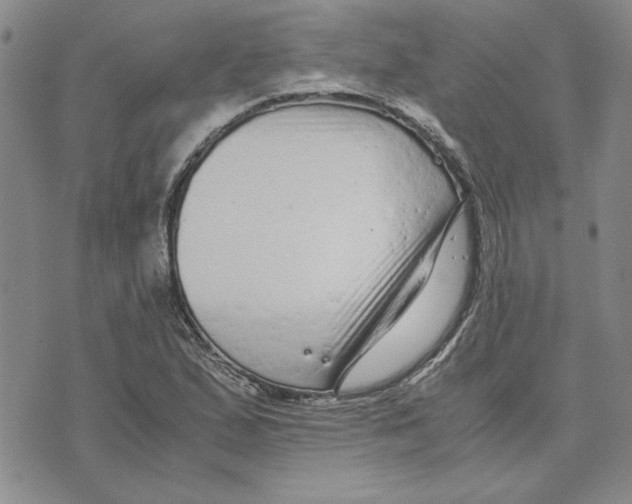 X0000075841167200610151538