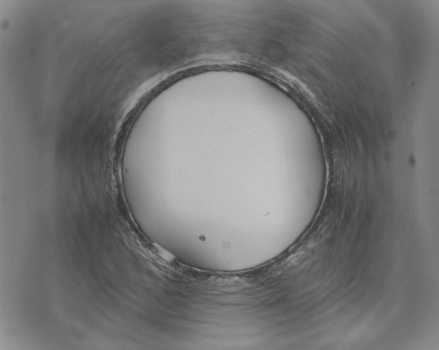 X0000075841168200610151538